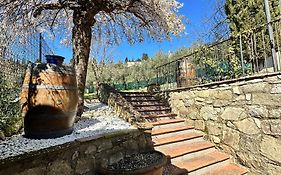 Agriturismo Tassinaia