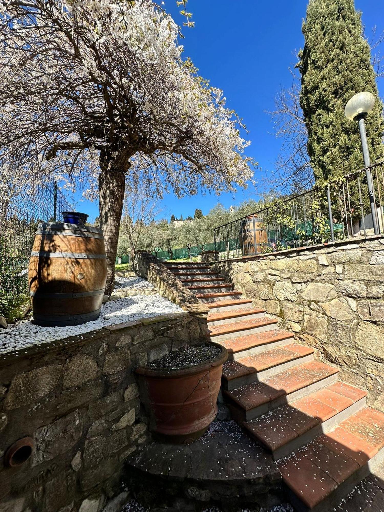 Agriturismo Tassinaia Pontassieve Buitenkant foto