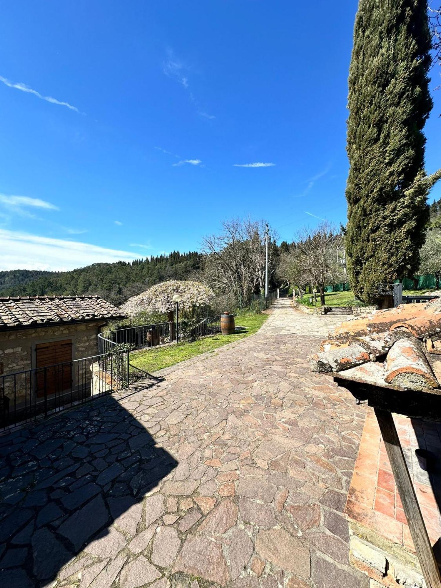 Agriturismo Tassinaia Pontassieve Buitenkant foto