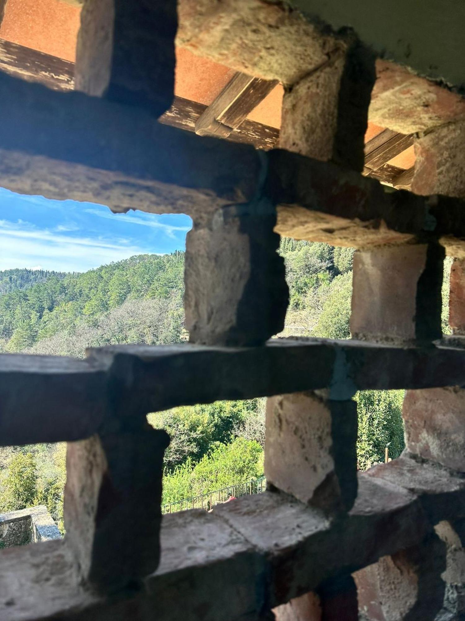 Agriturismo Tassinaia Pontassieve Buitenkant foto
