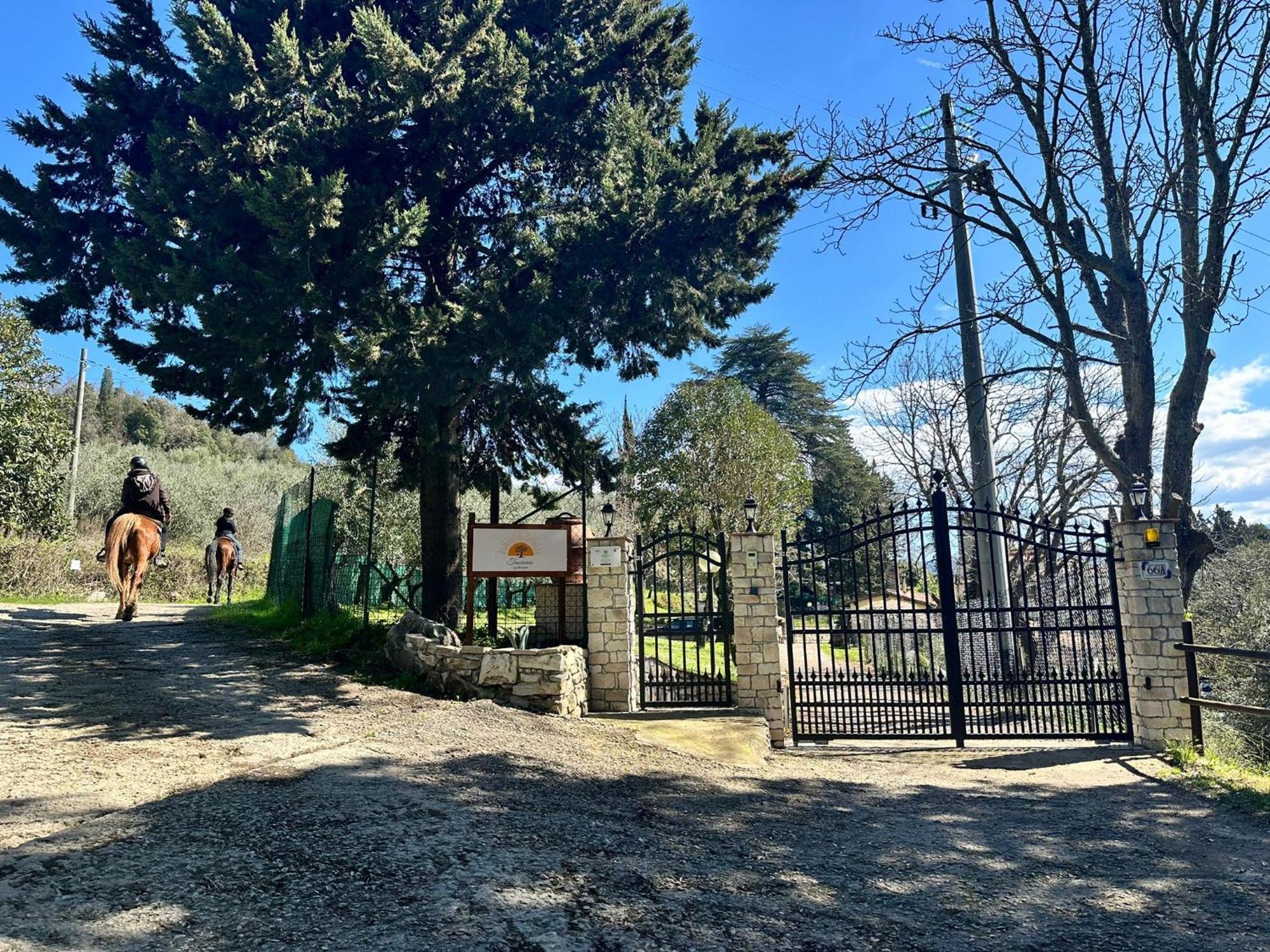 Agriturismo Tassinaia Pontassieve Buitenkant foto